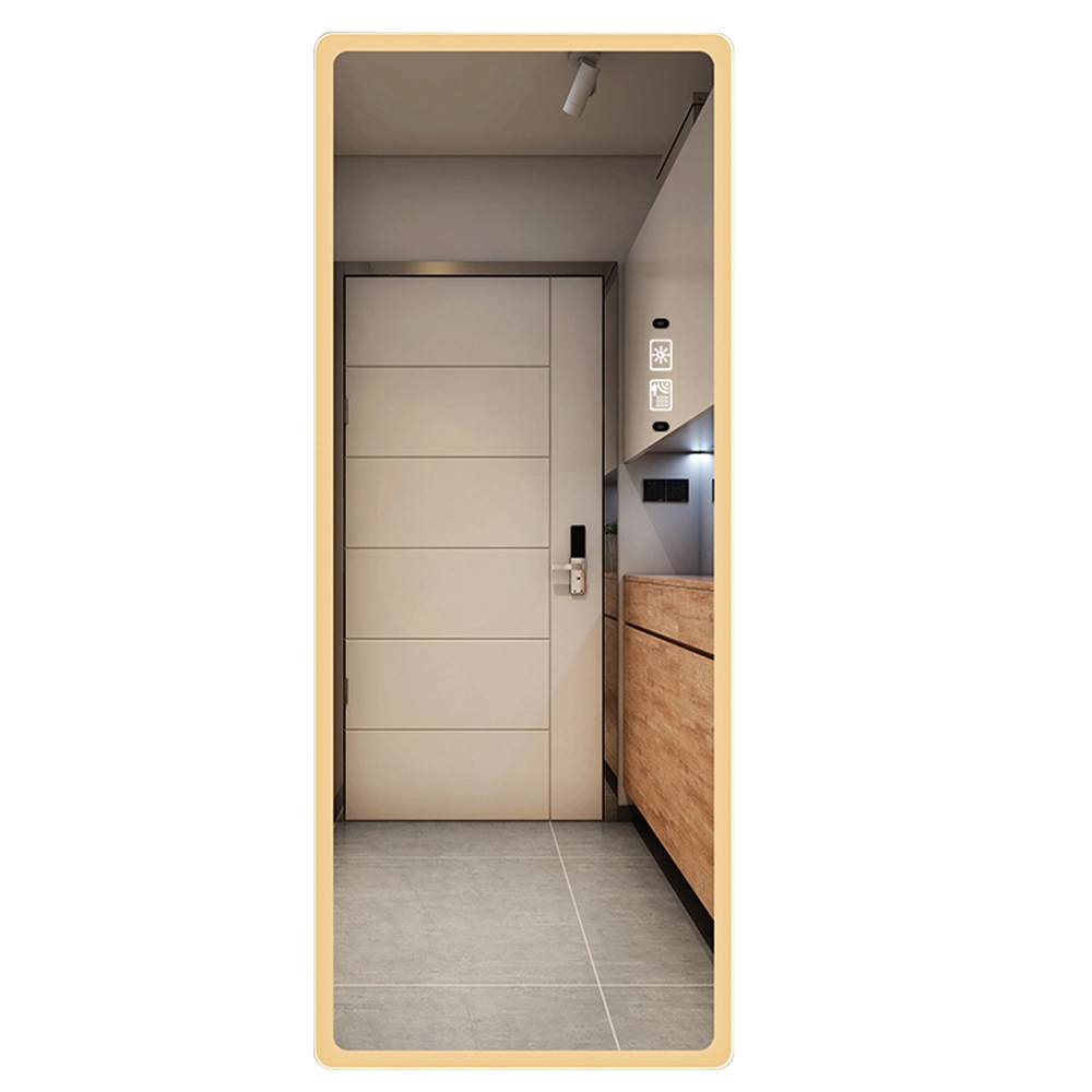 Toàn bộ chiều dài Đèn treo tường Hình chữ nhật thông minh Defogger Dressing Hair LED Salon Mirrors